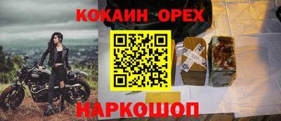 прущие грибы Лесосибирск